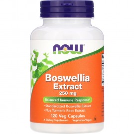 Биологически активная добавка NOW FOODS BOSWELLIA EXTRACT (Экстракт Босвеллии), 250 мг - 120 капсул Биологически активная добавка NOW FOODS BOSWELLIA EXTRACT (Экстракт Босвеллии), 250 мг - 120 капсул